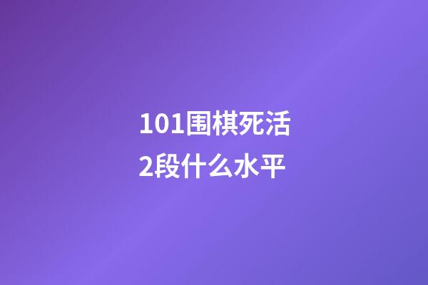 101围棋死活2段什么水平(101围棋网死活3段什么水平)-第1张-知识-围棋铺