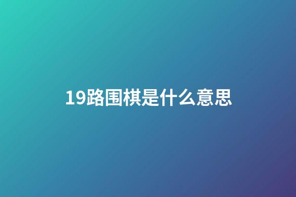 19路围棋是什么意思(19路围棋是什么意思?)