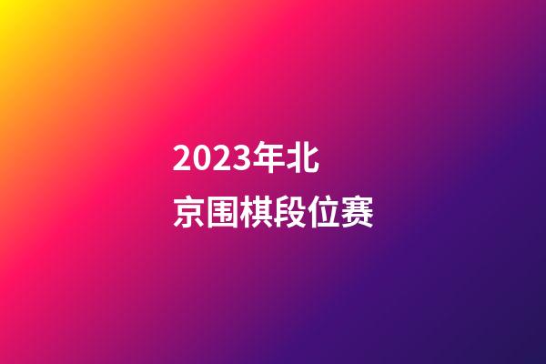 2023年北京围棋段位赛(2021年北京市围棋段位赛)