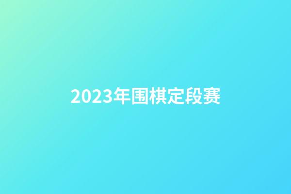 2023年围棋定段赛(2023年围棋定段赛有几次)-第1张-知识-围棋铺