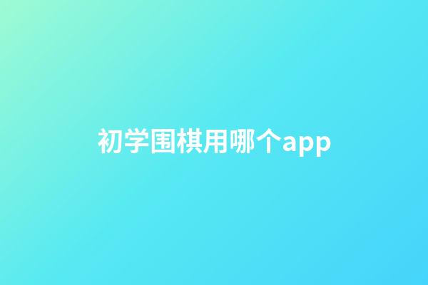 初学围棋用哪个app(适合初学者的围棋app哪个好)-第1张-知识-围棋铺