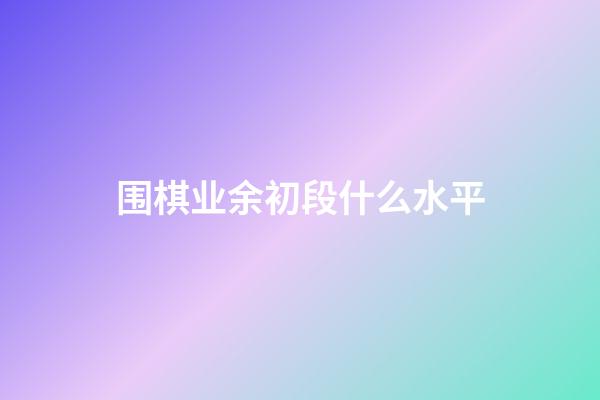 围棋业余初段什么水平(围棋业余初段什么水平可以报考)-第1张-知识-围棋铺