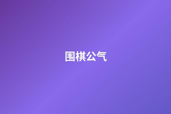 围棋公气(围棋公气对杀的故事导入)