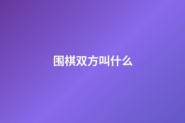 围棋双方叫什么(围棋双方互打什么意思)