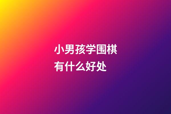 小男孩学围棋有什么好处(小男孩学围棋有什么好处吗)-第1张-知识-围棋铺