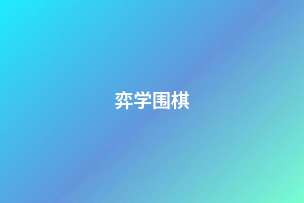 弈学围棋(弈学围棋2023官方版313 Inurlfayunsi)