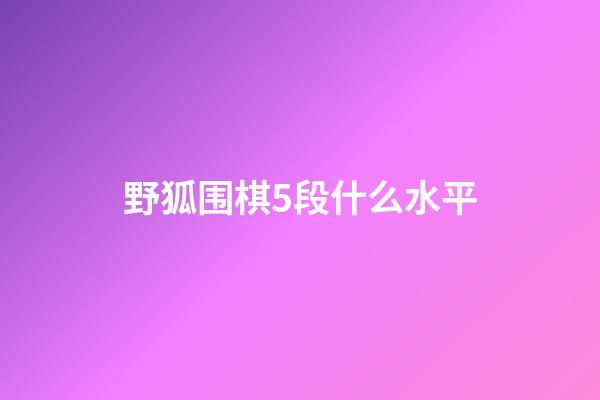 野狐围棋5段什么水平(野狐围棋5段相当于业余几段)-第1张-知识-围棋铺